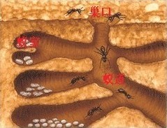 拖拽图片放大