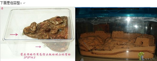 拖拽图片放大