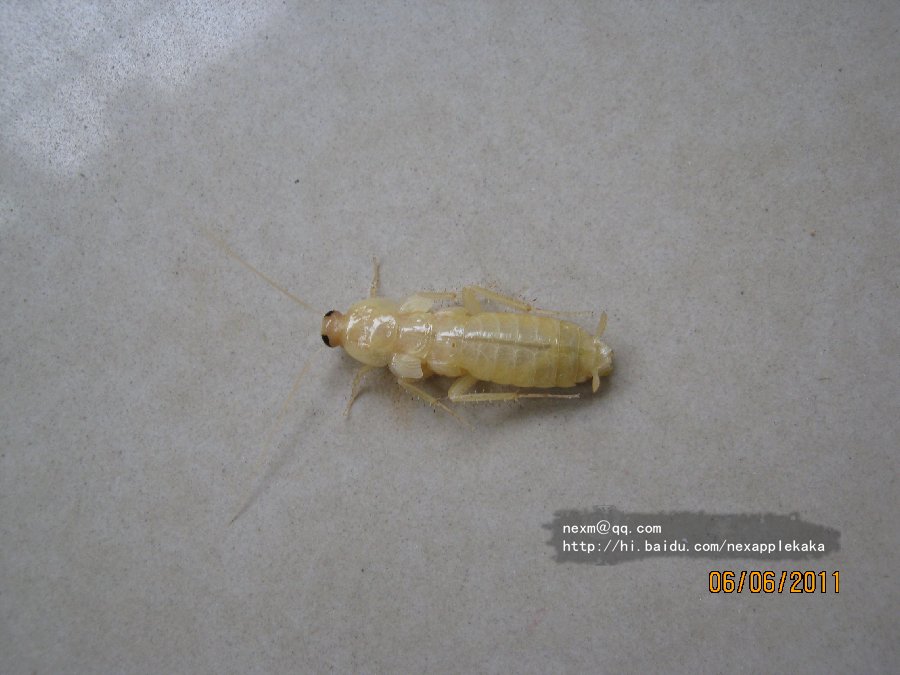 拖拽图片放大
