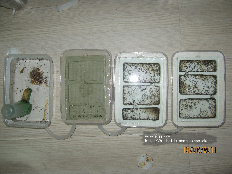 拖拽图片放大